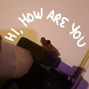 Meet your Posher, Jay